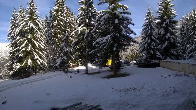 Belles Challes 52736 - Les Arcs 1800