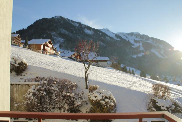 Appartements Le Sylvia - Châtel