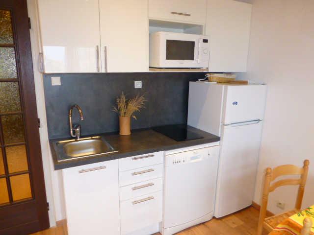 Winter (le) 51460 - Alpe d'Huez