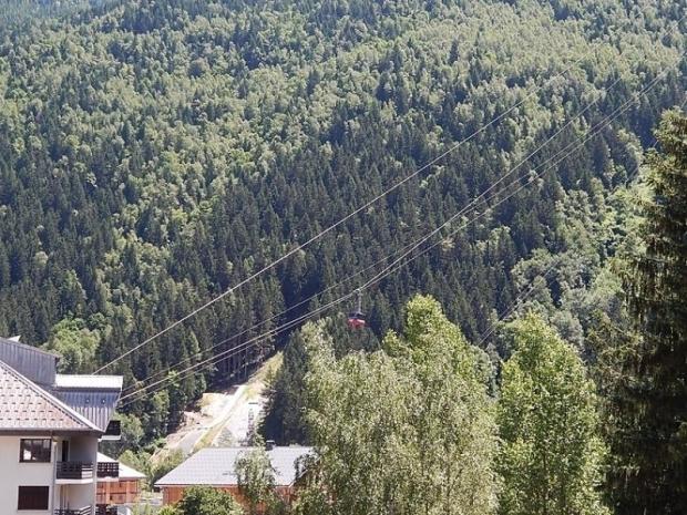 Jonquilles - Chamonix Sud
