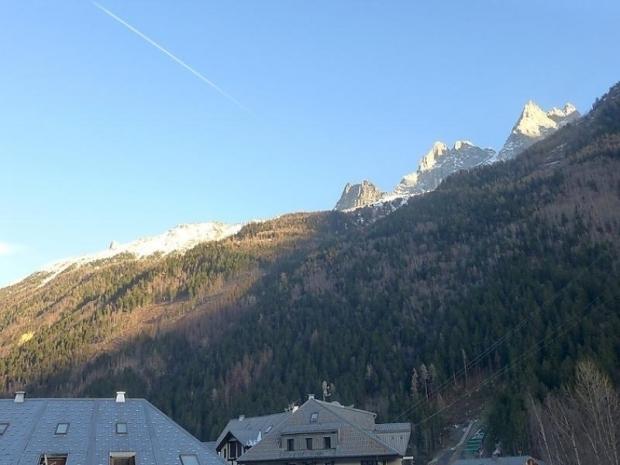Jonquilles - Chamonix Sud