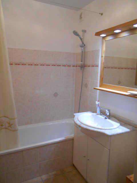 bouquetins 1 54729 - Vars