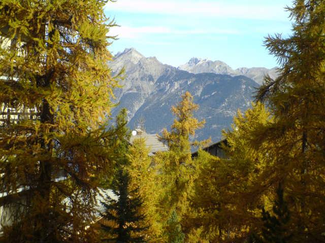 Orée du bois 55740 - Risoul 