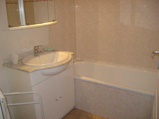 BOUQUETINS 1 54733 - Vars