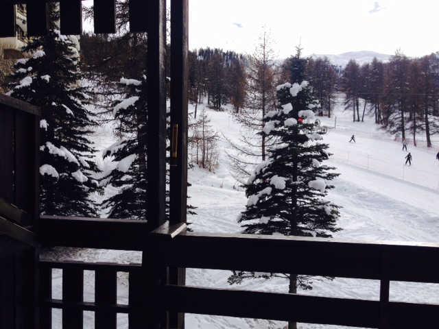 Orée du bois 55845 - Risoul 