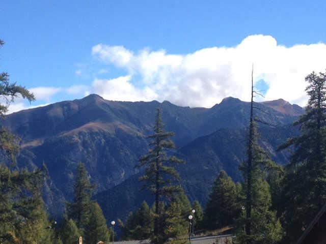 Clématites 55787 - Risoul 