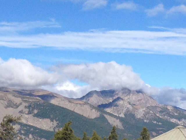 Chamois 55786 - Risoul 