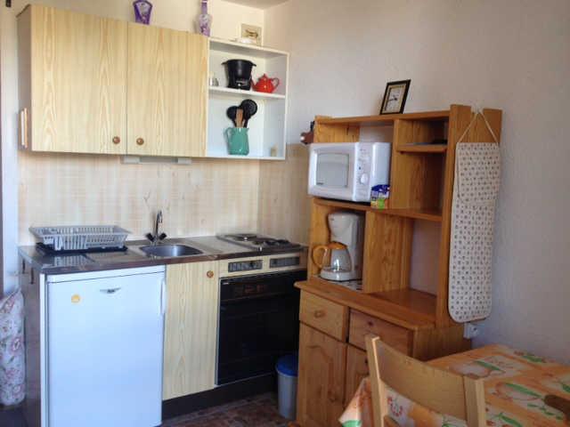 Chamois 55786 - Risoul 