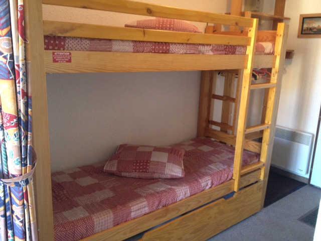 Chamois 55786 - Risoul 