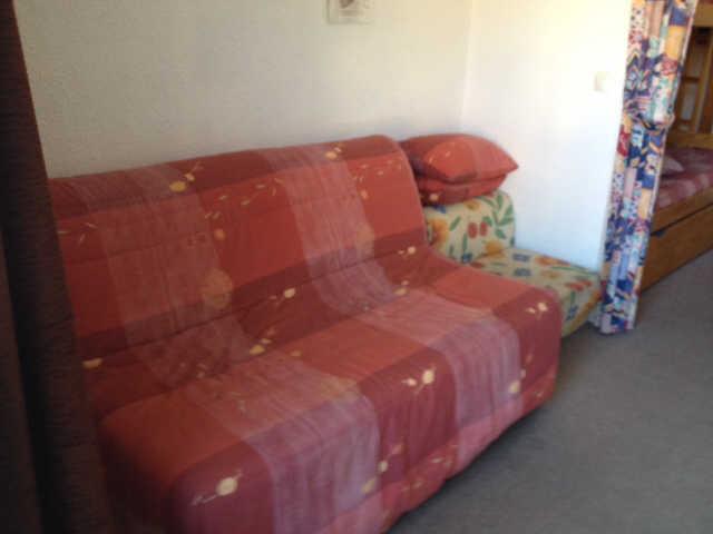 Chamois 55786 - Risoul 