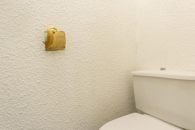 Appartements Les Soldanelles - Plagne Villages