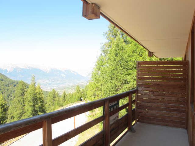 LE BOIS MEAN 48293 - Les Orres