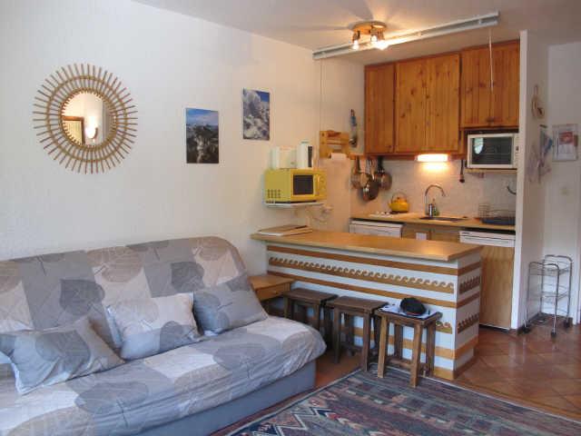 LES CARLINES 55825 - Les Orres