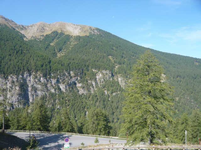 MELEZES D'OR 53126 - Les Orres