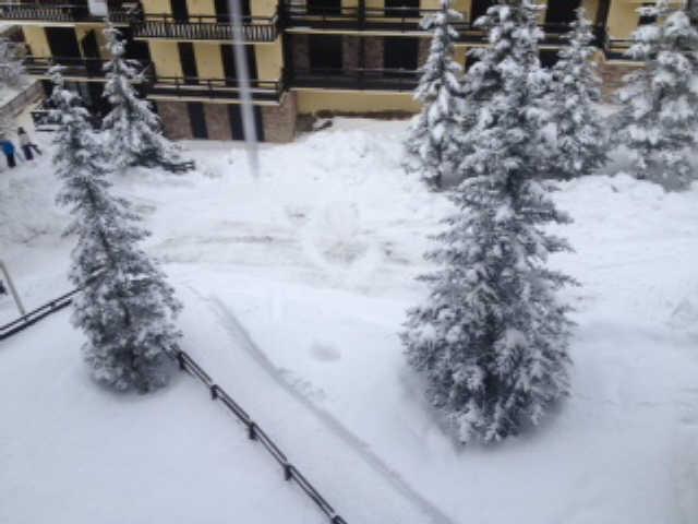 Cristal 55785 - Risoul 