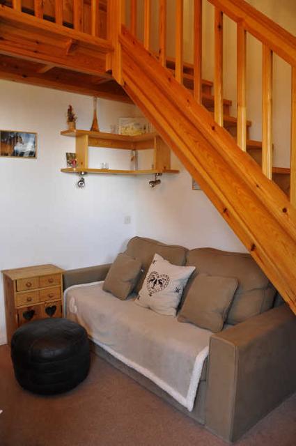 Les Bouquetins 55797 - La Rosière