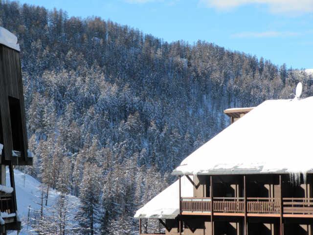 Florin 55565 - Risoul 