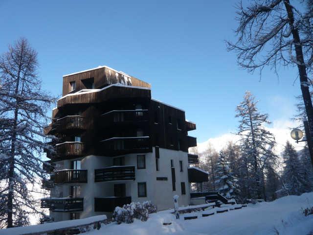 LE MEALE 55359 - Les Orres