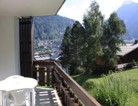 LE PLENEY - Morzine