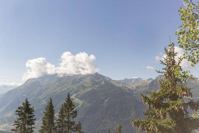 Ski & Soleil - Appartements Chanousia - La Rosière