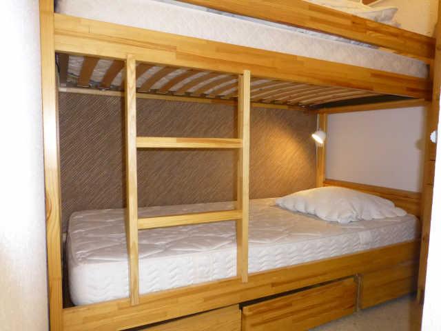 Dauphinoise (la) 56041 - Alpe d'Huez