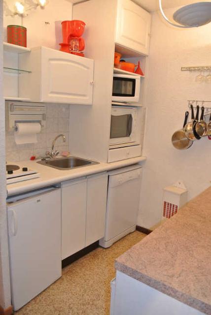 LES CARLINES 46154 - Les Orres