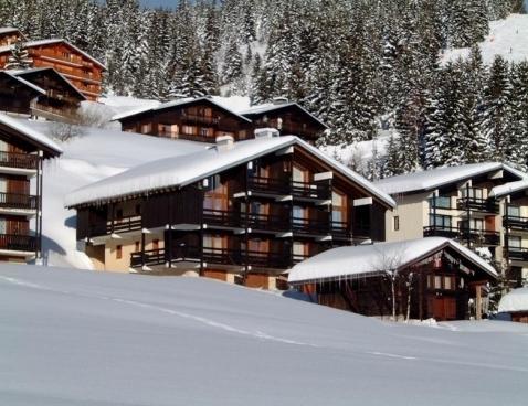 BOUQUETIN - Les Saisies