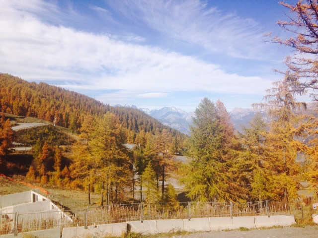 Pégase 55848 - Risoul 