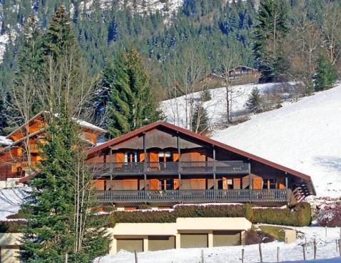 Chalet du Loy - Châtel
