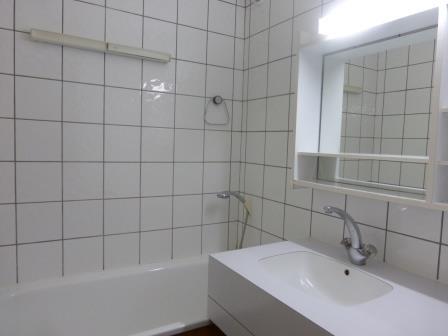 Appartements CREUX DE L'ours - Méribel Mottaret 1850