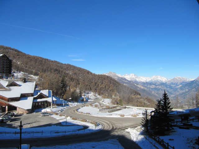 Soldanelles 55568 - Risoul 