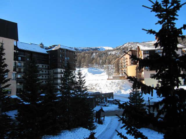 Soldanelles 55568 - Risoul 