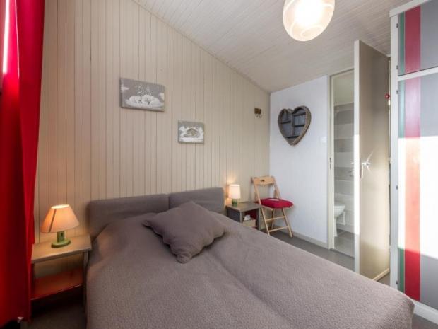 OURS BRUN - La Clusaz