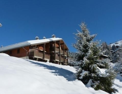 VAL NEIGE B - La Clusaz
