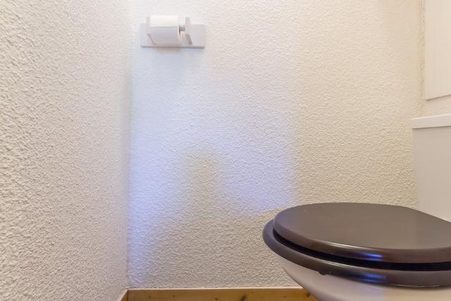 Appartements Les Avrieres Haut - Plagne - Montchavin 