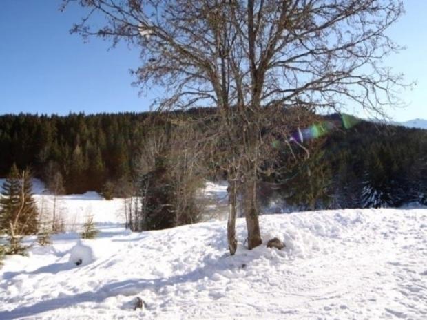 LE HAMEAU DES BICHES - Méribel Village 1400