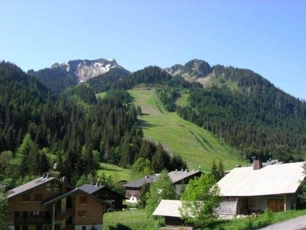 AZALEE - Châtel