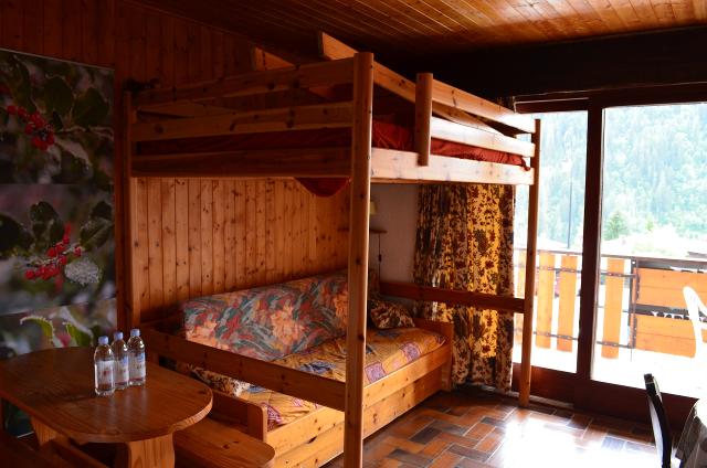 Résidence LES SNAILLES - Châtel