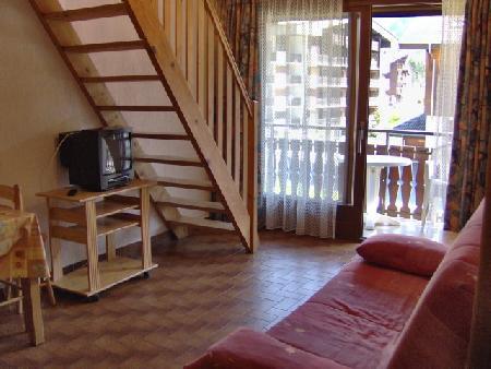 Résidence les MOUFLONS - Châtel