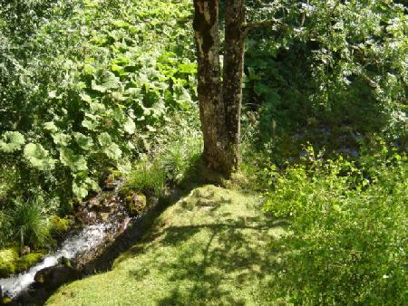 Résidence les GENTIANES - Châtel