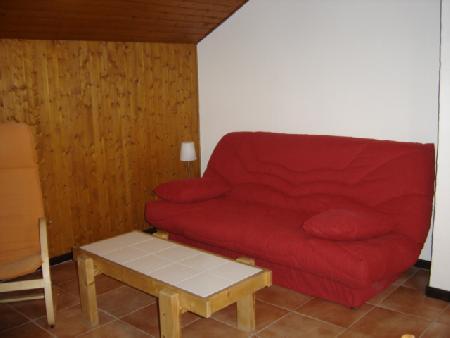 Chalet la RAVINE - Châtel