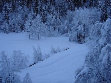 Chalet la RAVINE - Châtel
