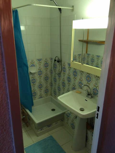 LES CARLINES 57069 - Les Orres