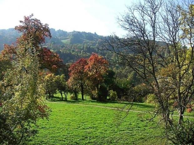 les Huskies - Saint Gervais Mont-Blanc
