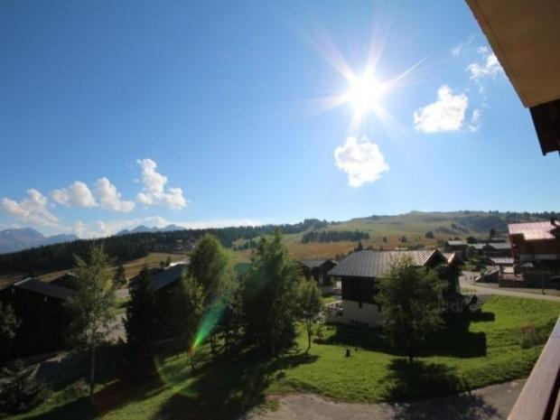 CYCLAMENS - Les Saisies