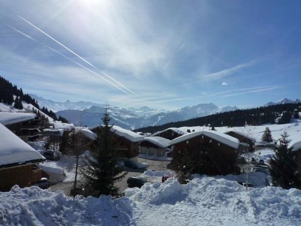 CYCLAMENS - Les Saisies