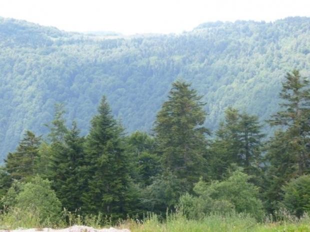 LES HAUTS PLATEAUX 34 - Ax les Thermes