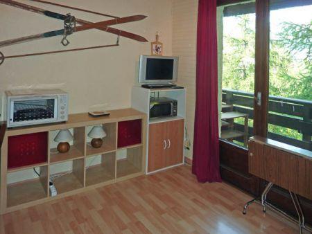 Résidence Les Ecrins 119 - Les Orres