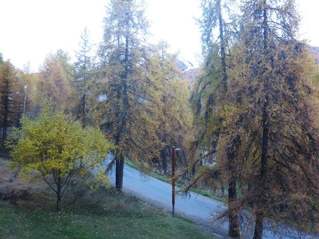 Appartement Le Perescuelle 431 - Les Orres