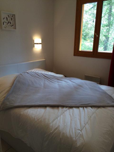 BALCON DES AIRELLES 57487 - Les Orres